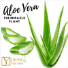 6 Skin Care Benefits of Using Aloe Vera